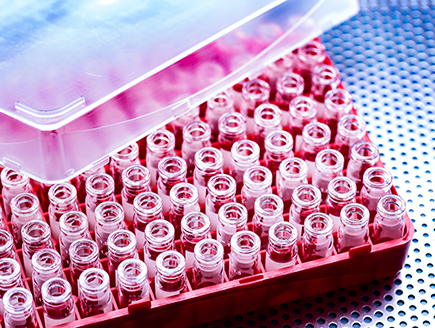 Biobanks, could you be unwittingly degrading your samples? - SPT Labtech